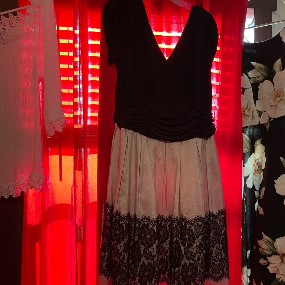 Formal Black and Tan dress